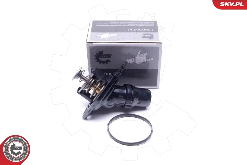 Thermostat, coolant